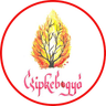 Csipkebogyó